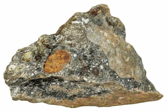 Howardite Meteorite ( g) - Bechar #287016